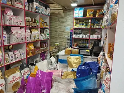 پت شاپ مینگو