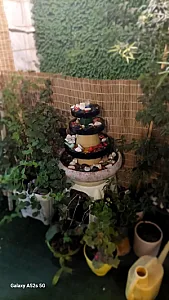 آکادمی موسیقی رادها