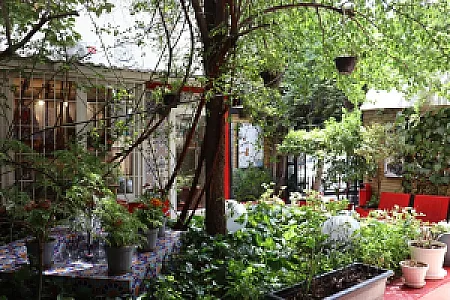 آموزشگاه موسیقی نوای شهر آشوب