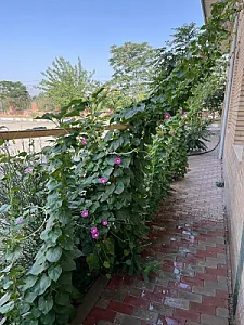 آموزشگاه فنی و حرفه ای کارآزموده