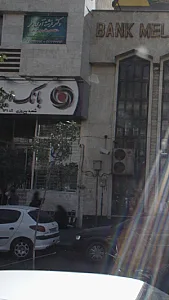 دکتر فرشته آرین فر