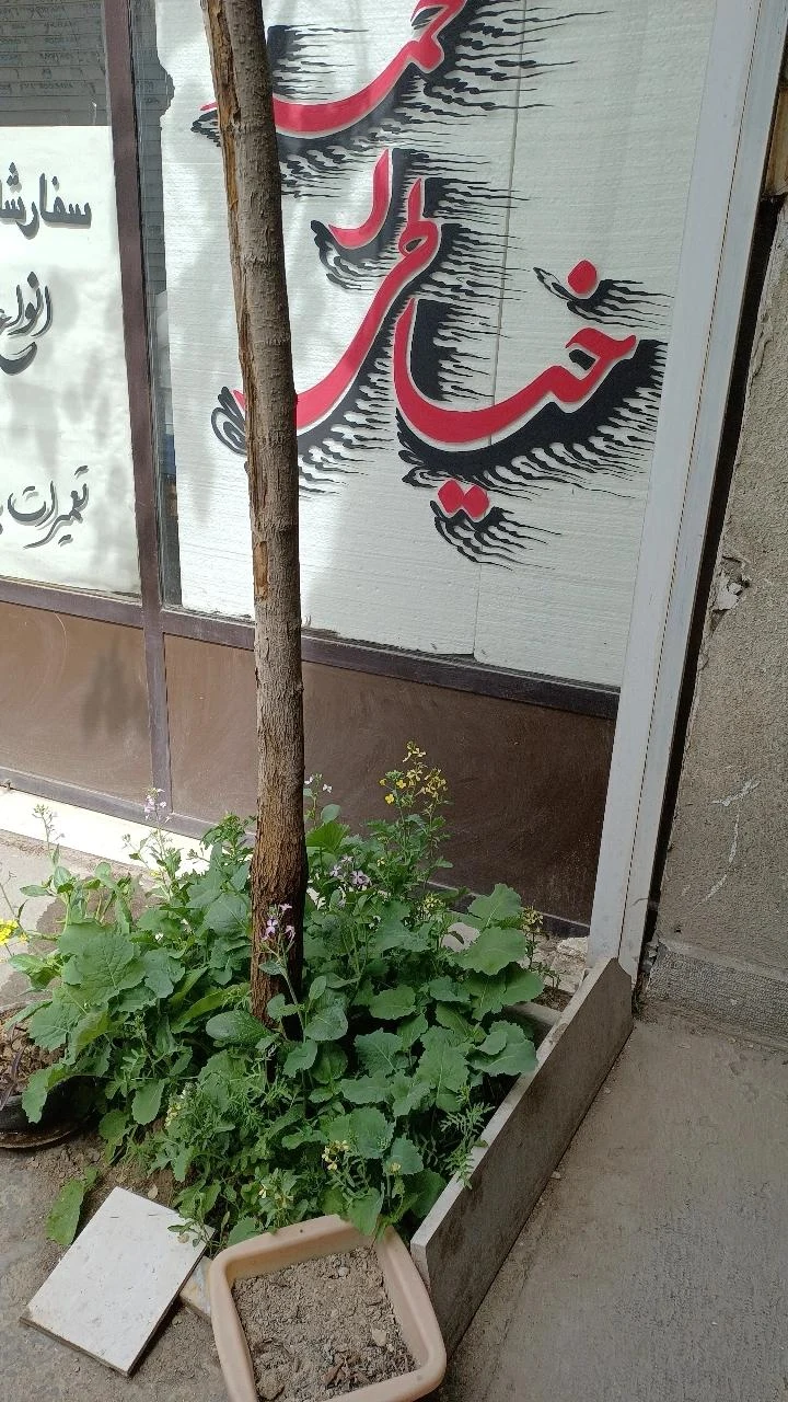 خیاطی احمد - تصویر 4