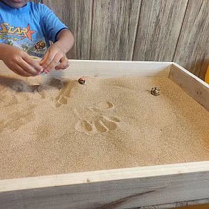 روانشناس کودک و نوجوان دکتر صابری