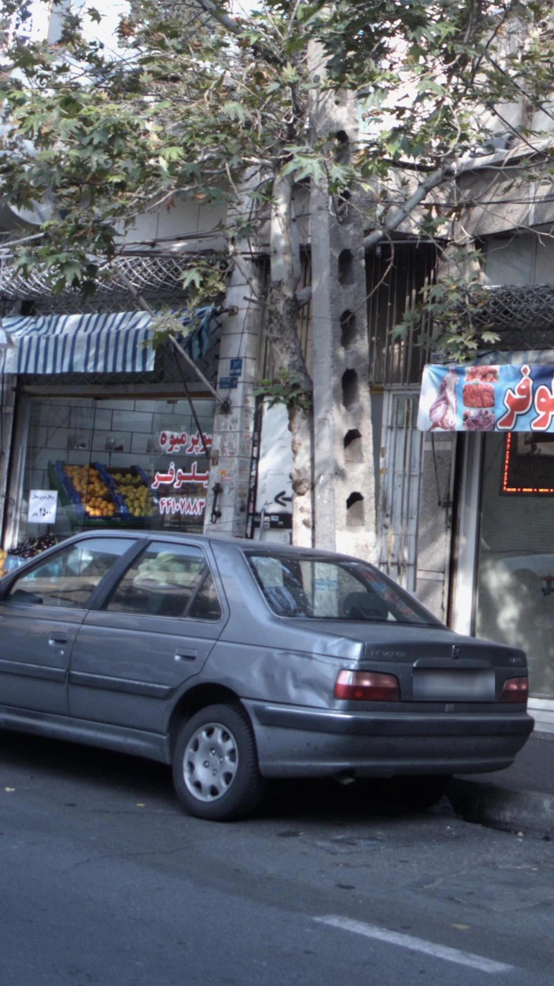 سوپر میوه نیلوفر - تصویر 2