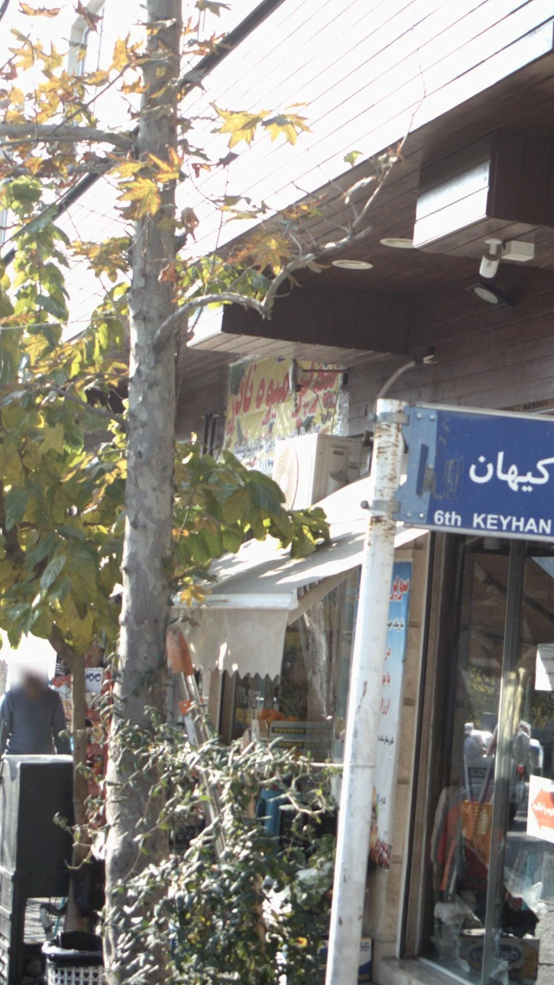 سوپر میوه نیلوفر - تصویر 3