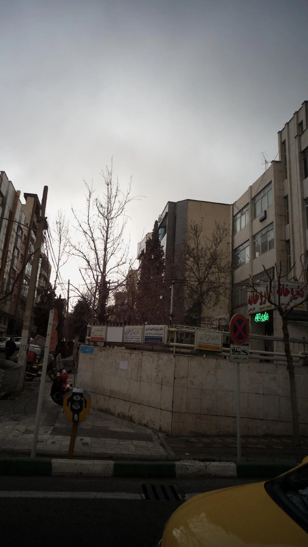 دکتر مریم ابراهیم اژدری - تصویر 2