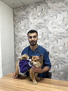 کلینیک دامپزشکی کارمن