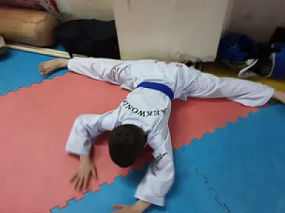 مربی و داور رسمی فدراسیون تکواندو
