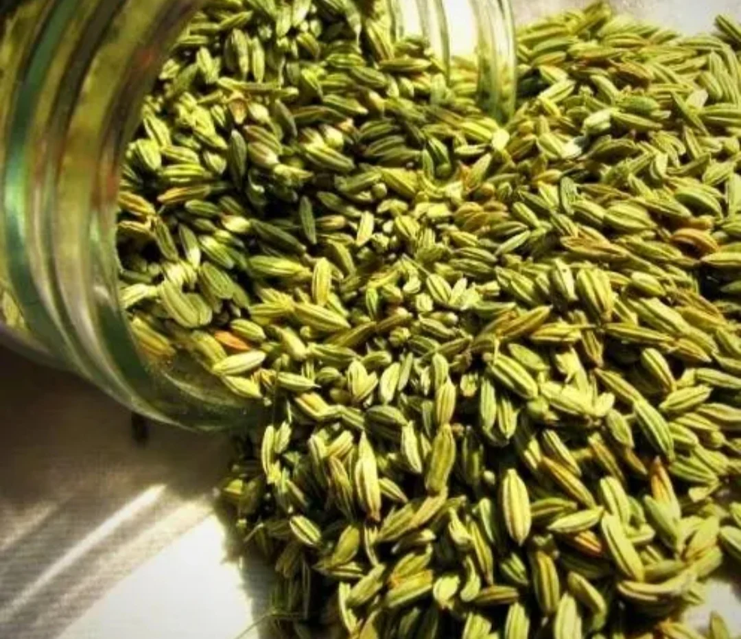 زیره سبز ( گیاهان دارویی) جعفرخانی - طب سنتی و عطاری در تهران