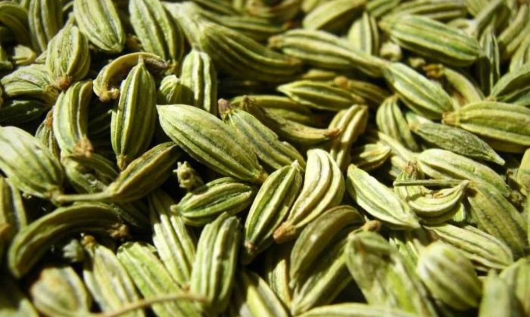 زیره سبز ( گیاهان دارویی) جعفرخانی - طب سنتی و عطاری در تهران - تصویر 2