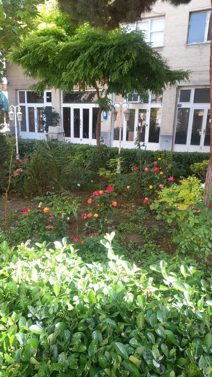 سرای امیرکبیر - تصویر 3