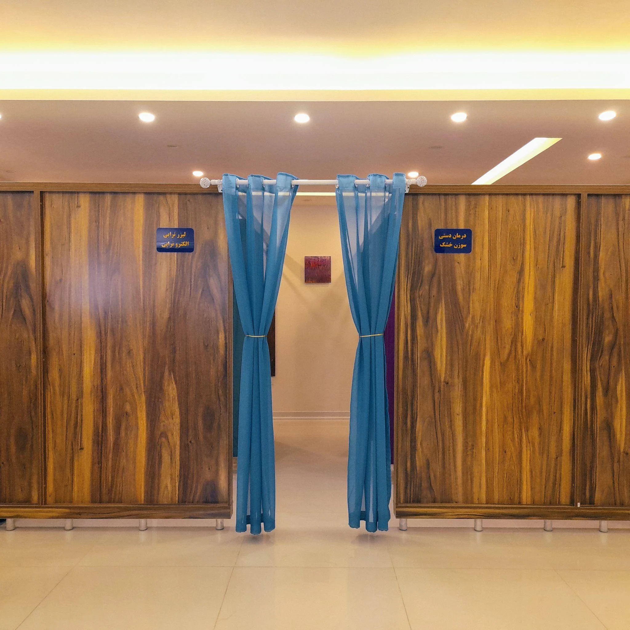 فیزیوتراپی پرانا در رشت | Prana Physiotherapy - تصویر 2