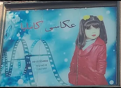 عکاسی کاملیا