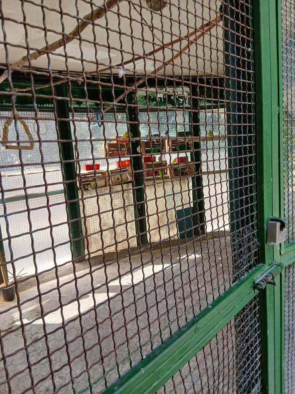 باغ پرندگان بوستان ساعی - تصویر 2