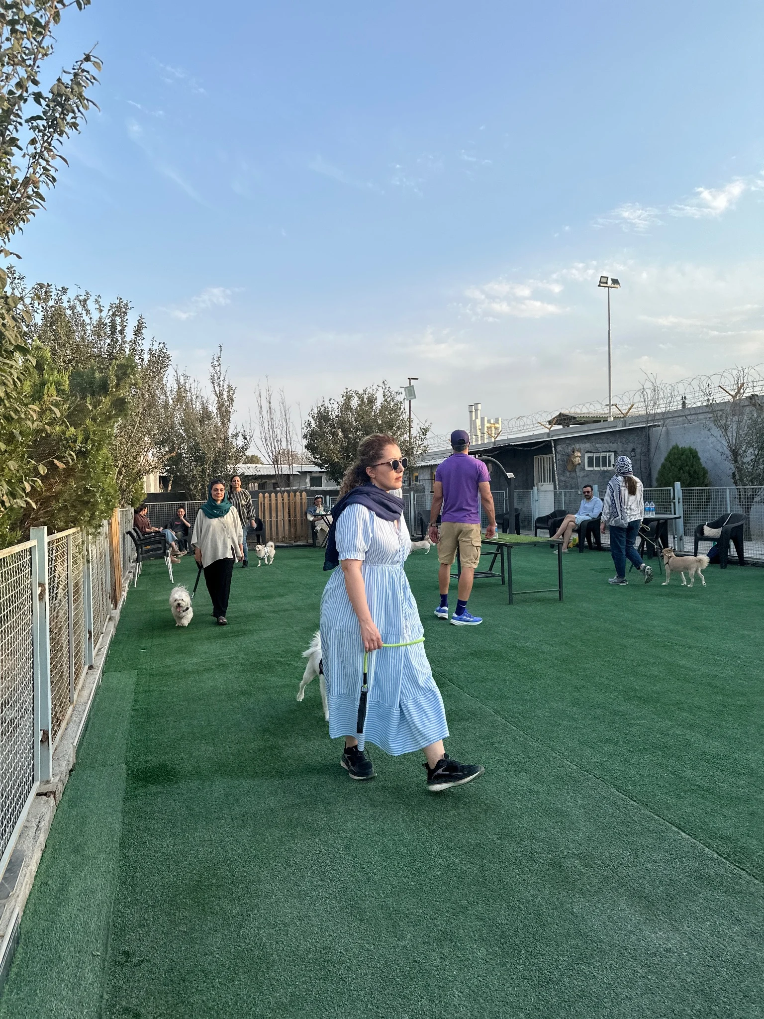 آموزش سگ تربیت سگ - تصویر 2