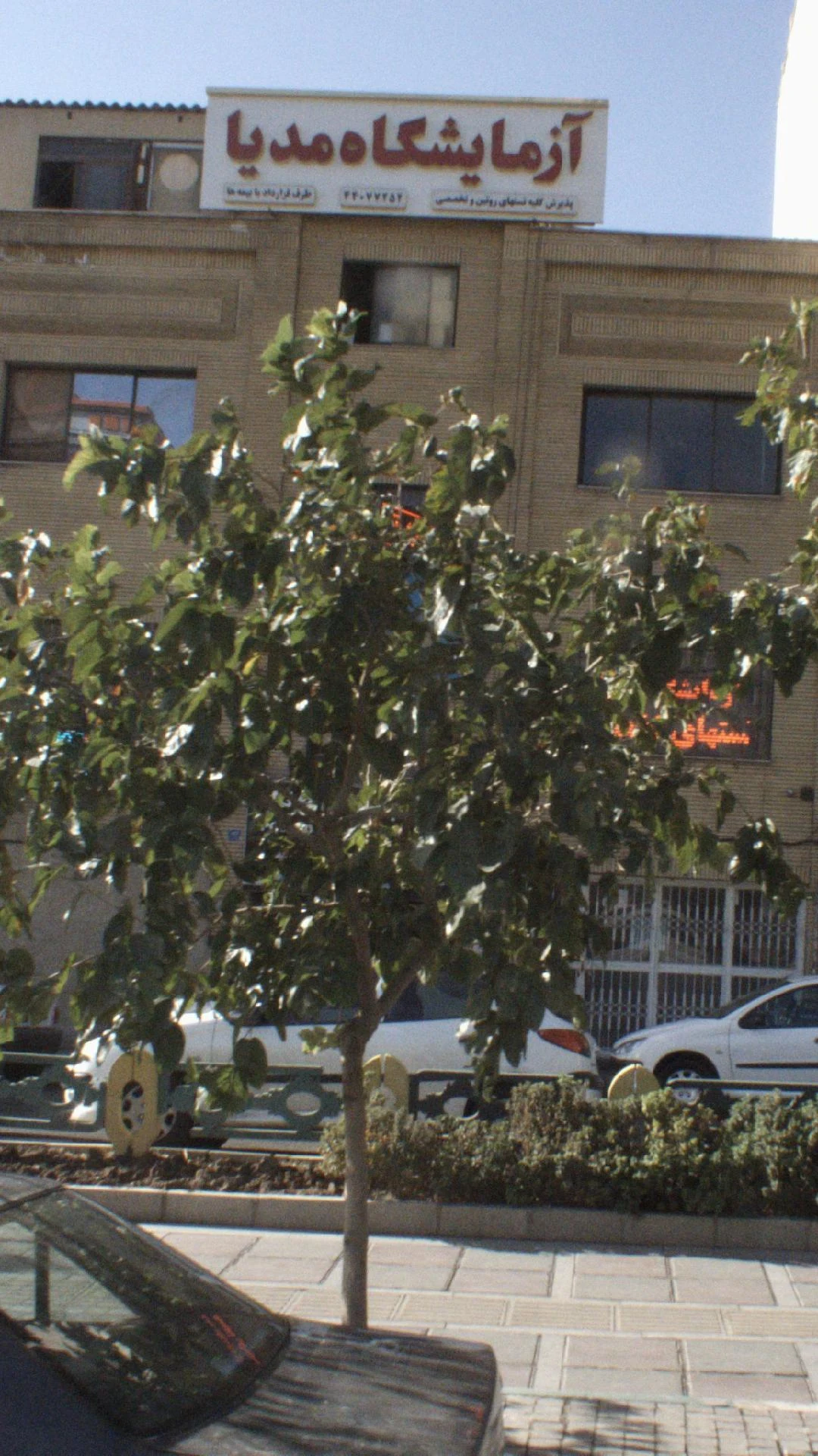 آزمایشگاه مدیا