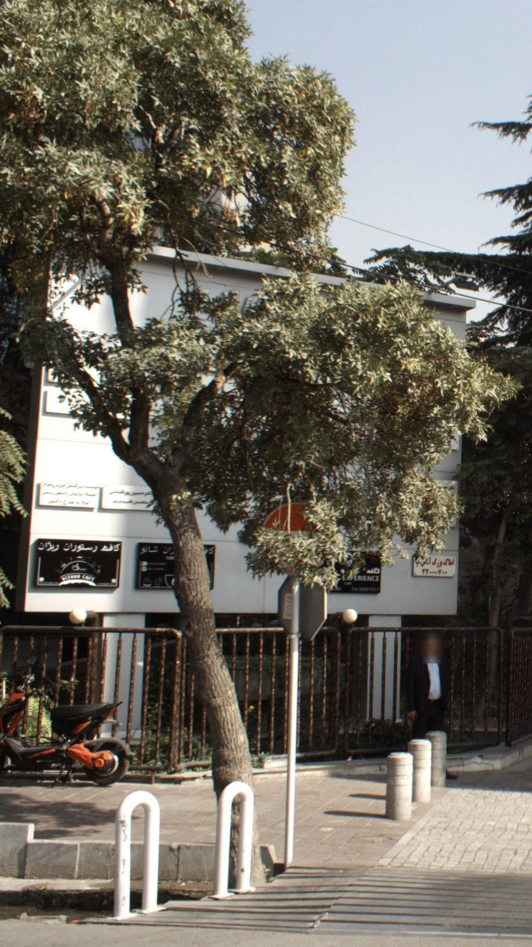 رستوران شترمرغ - تصویر 3
