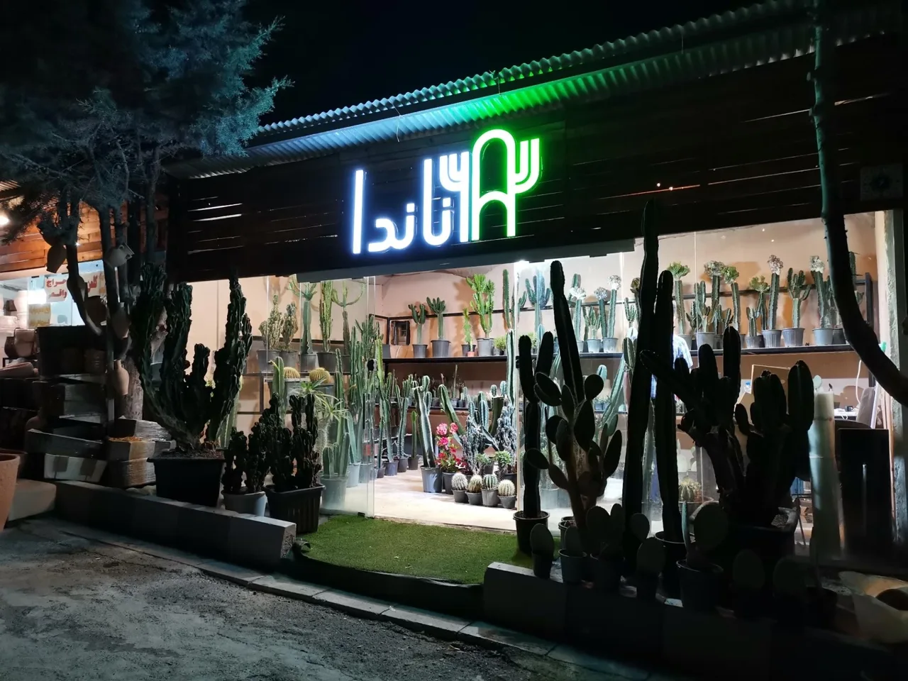 گل باغ آناندا - تصویر 3