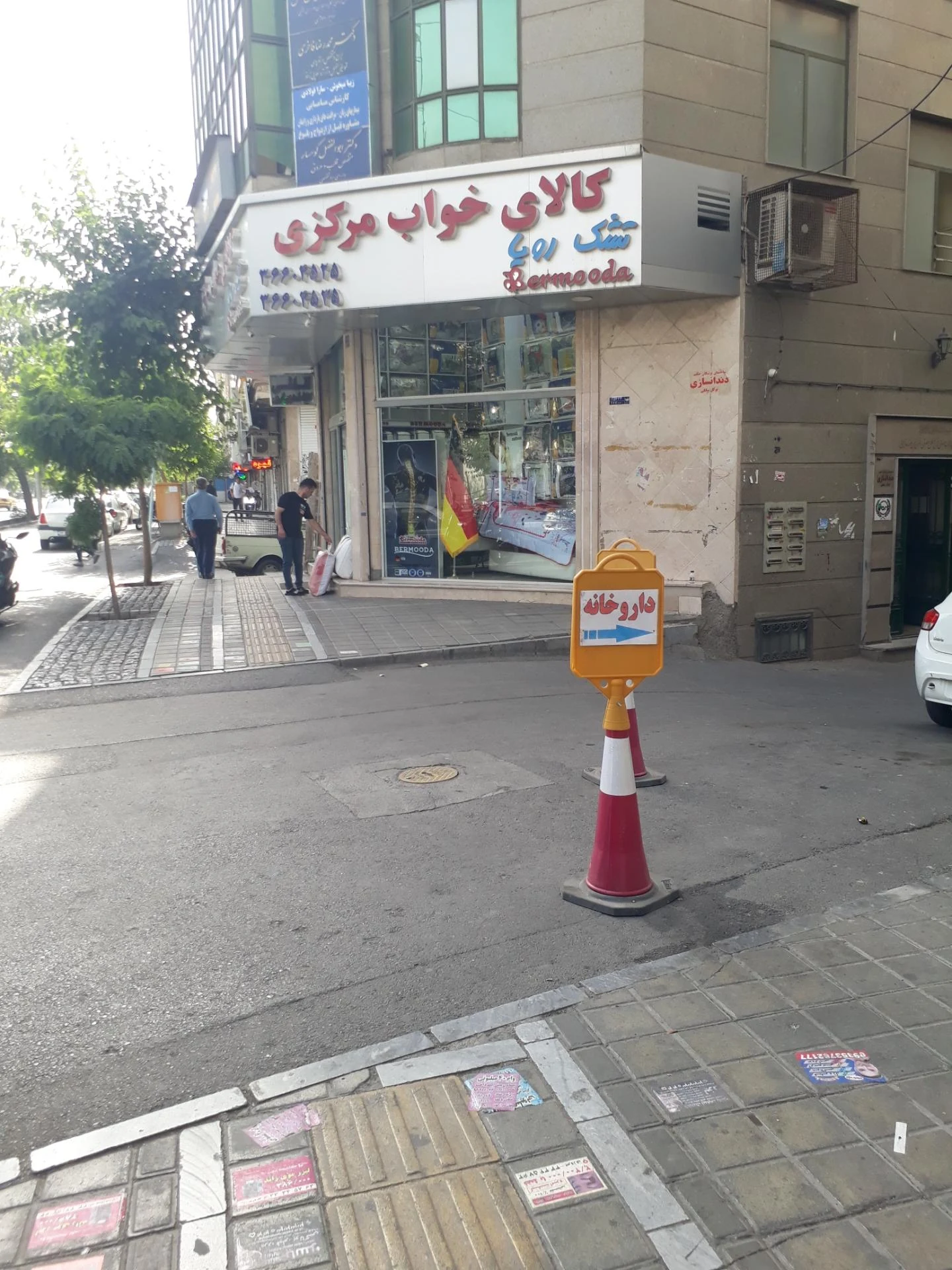 تشک آدنیس