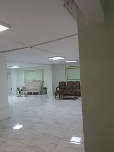 سالمندان سپیدار