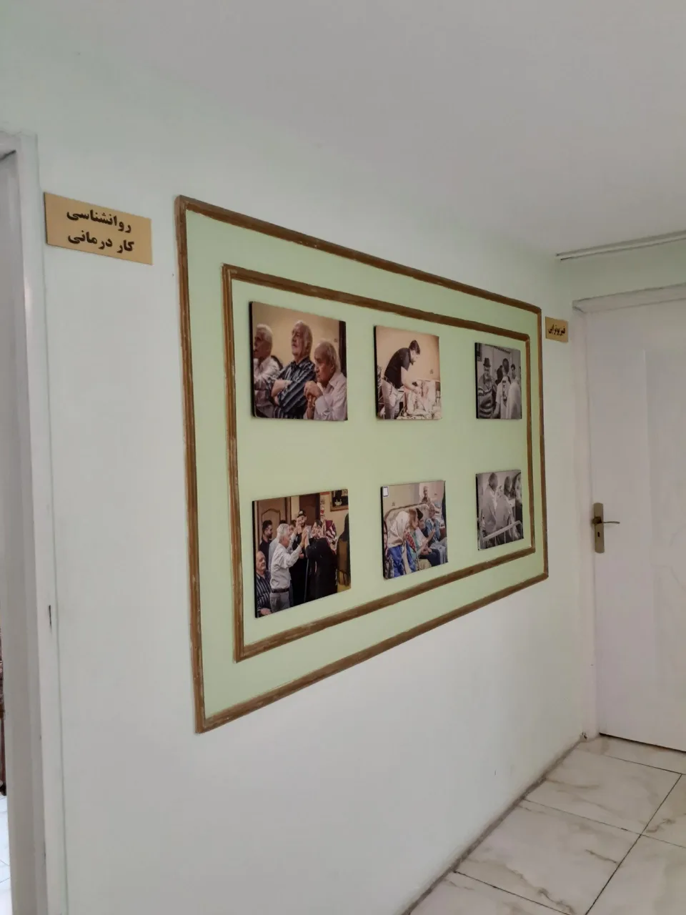 سالمندان سپیدار - تصویر 2