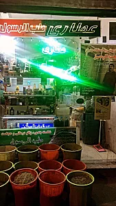 عطاری طب الرسول گیاهان نایاب