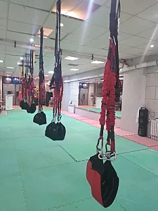 باشگاه بانوان تهرانسر