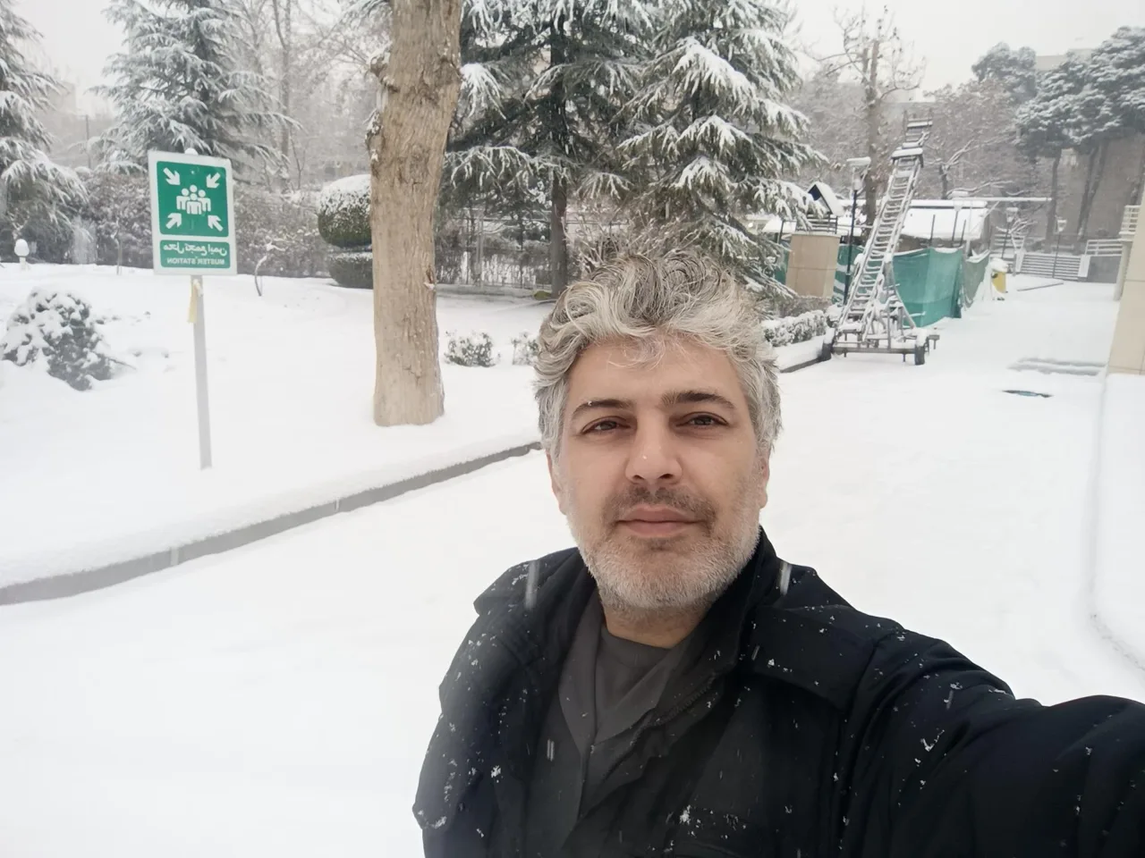 دفتر پستی قلهک - تصویر 4