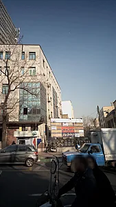 دکتر سید محسن علوی