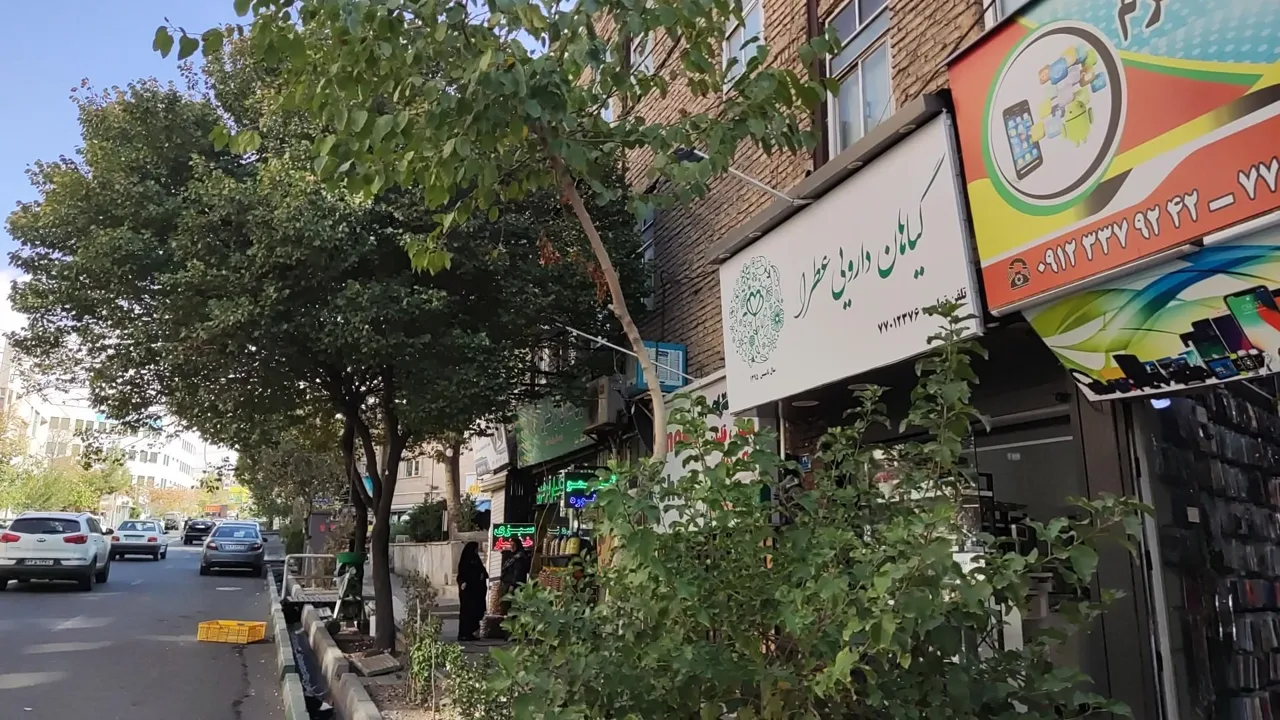 داروخانه طب سنتی گیاهان دارویی عطرا - تصویر 4