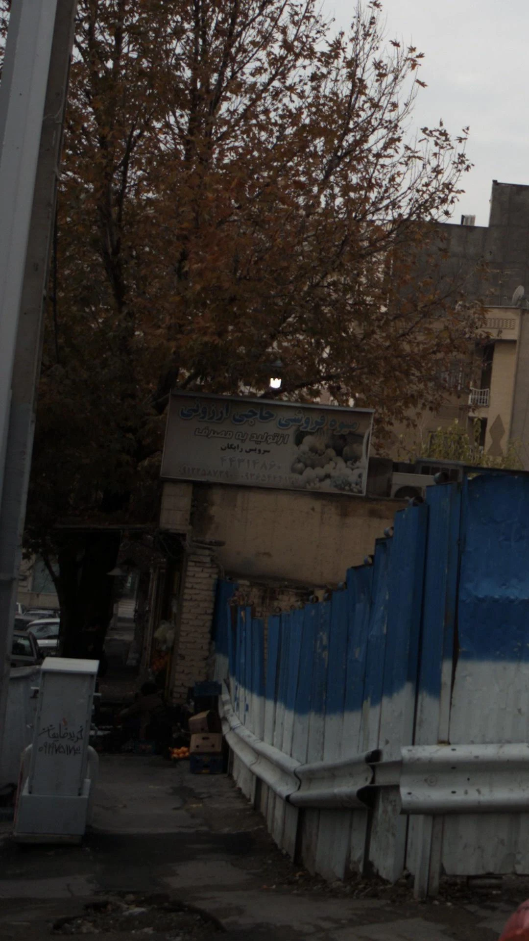 میوه فروشی محسن یوسفی - تصویر 2