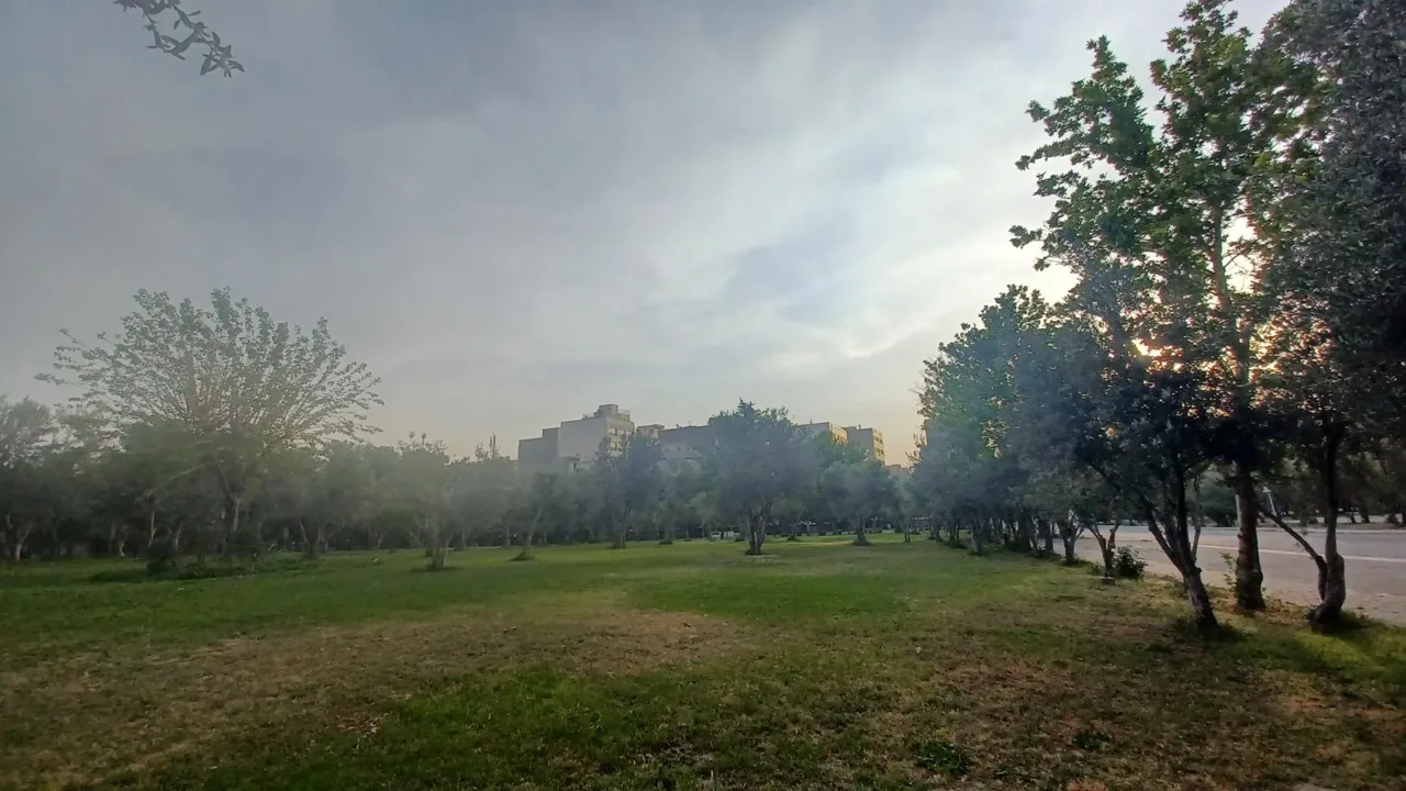دانشگاه ملی مهارت دختران دکتر شریعتی تهران - تصویر 3