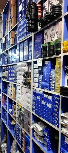 ایساکو یدکی شایان