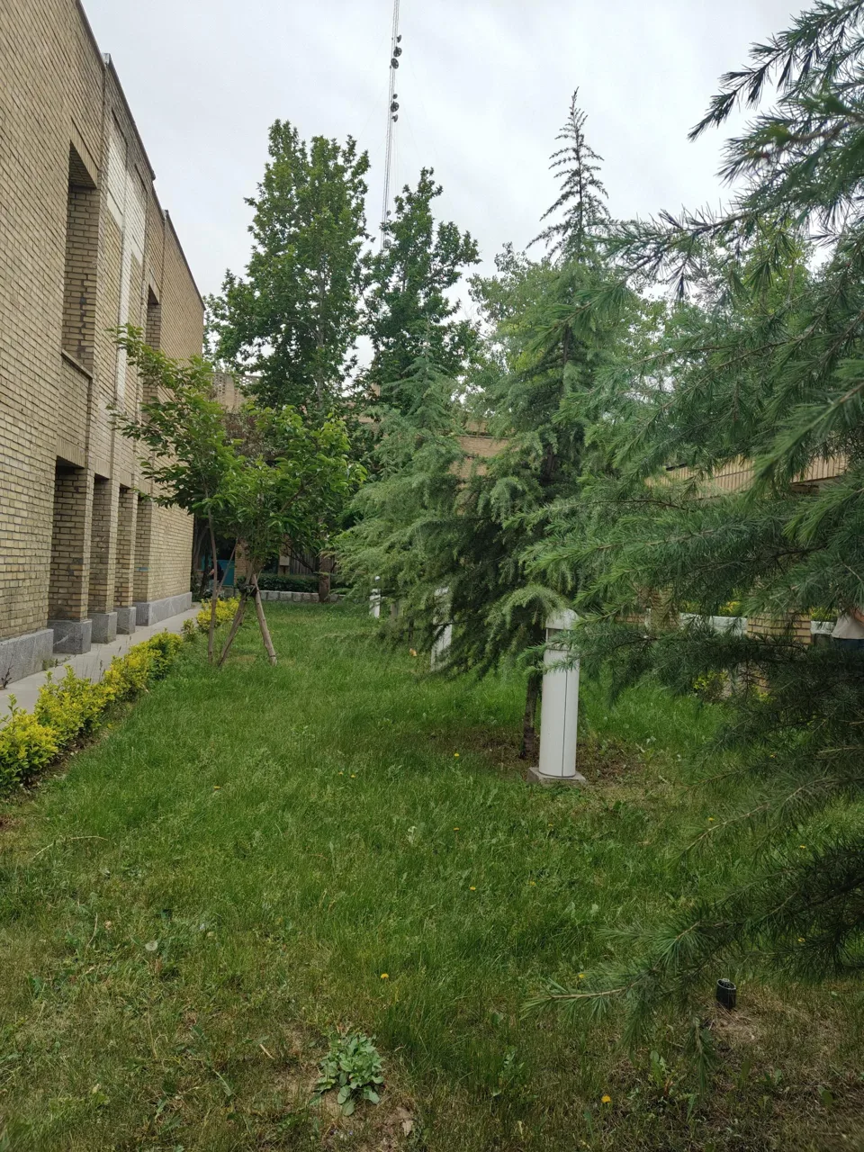 دانشگاه تربیت دبیر شهید رجایی - تصویر 4