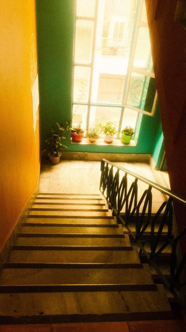 دانشگاه هنر سوره - تصویر 5