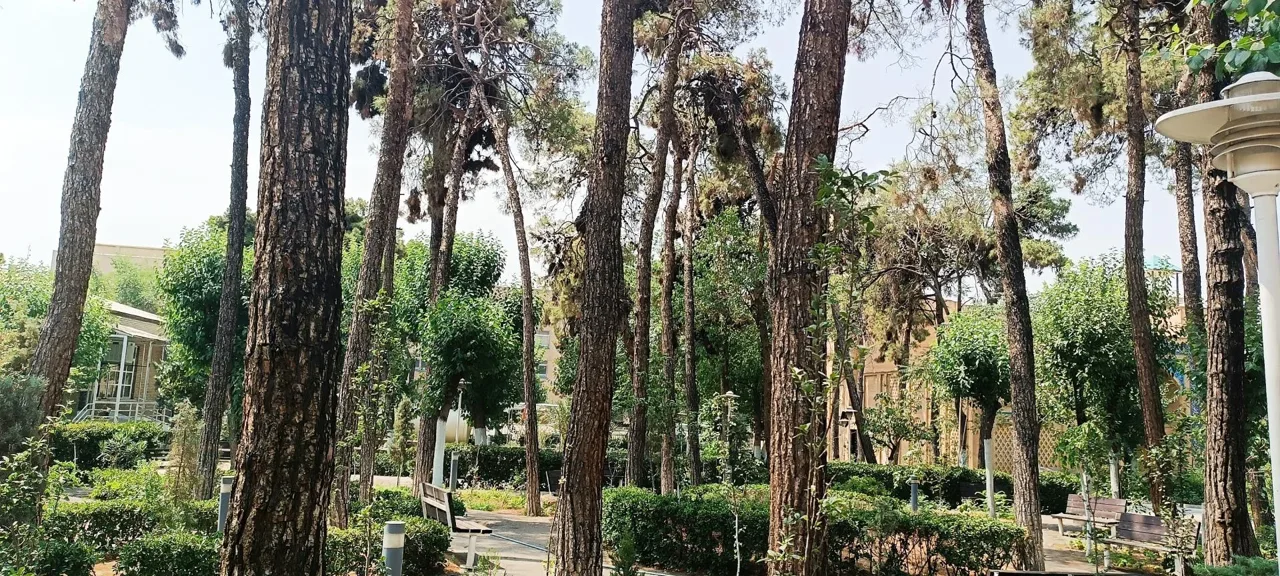 دانشگاه خوارزمی - تصویر 4
