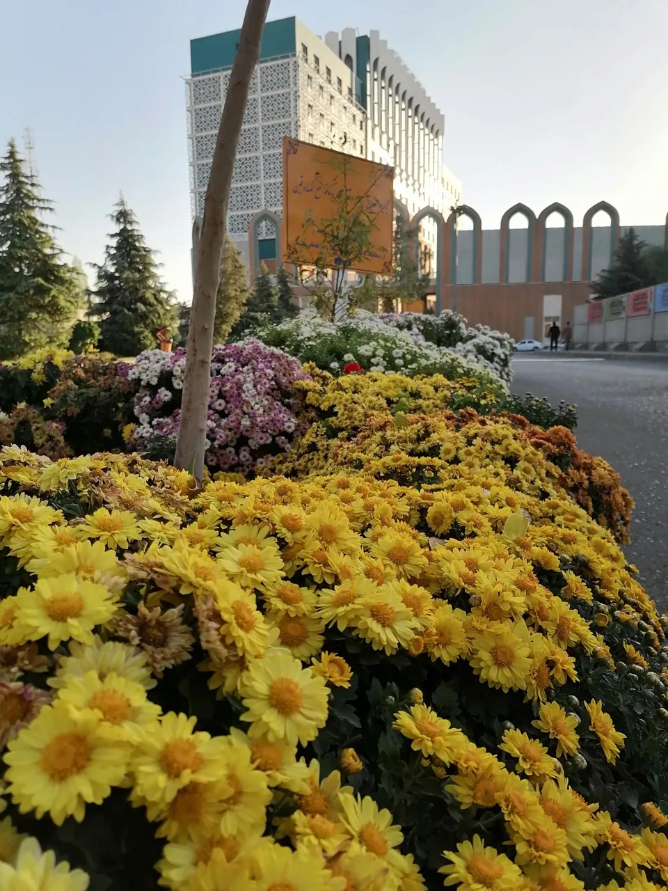 دانشگاه جامع انقلاب اسلامی - تصویر 3