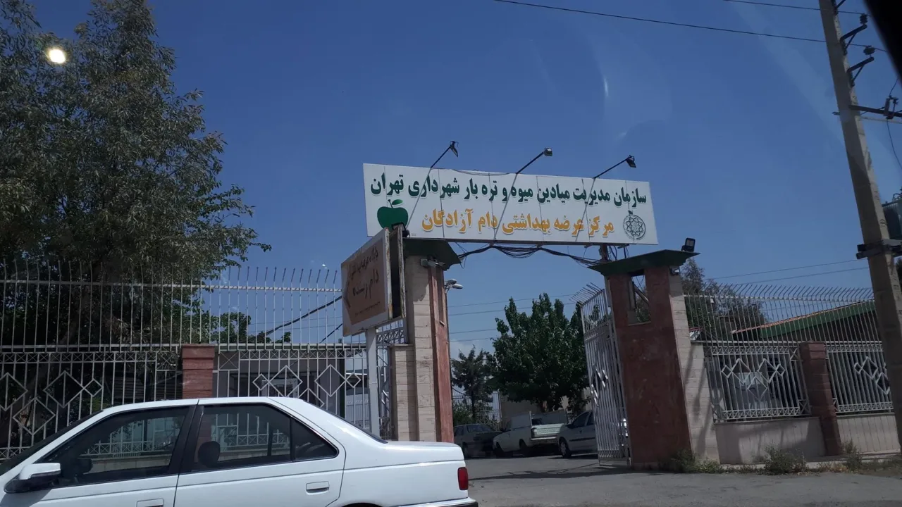 جایگاه عرضه بهداشتی دام زنده شهرداری(کشتارگاه شهرداری) - تصویر 5