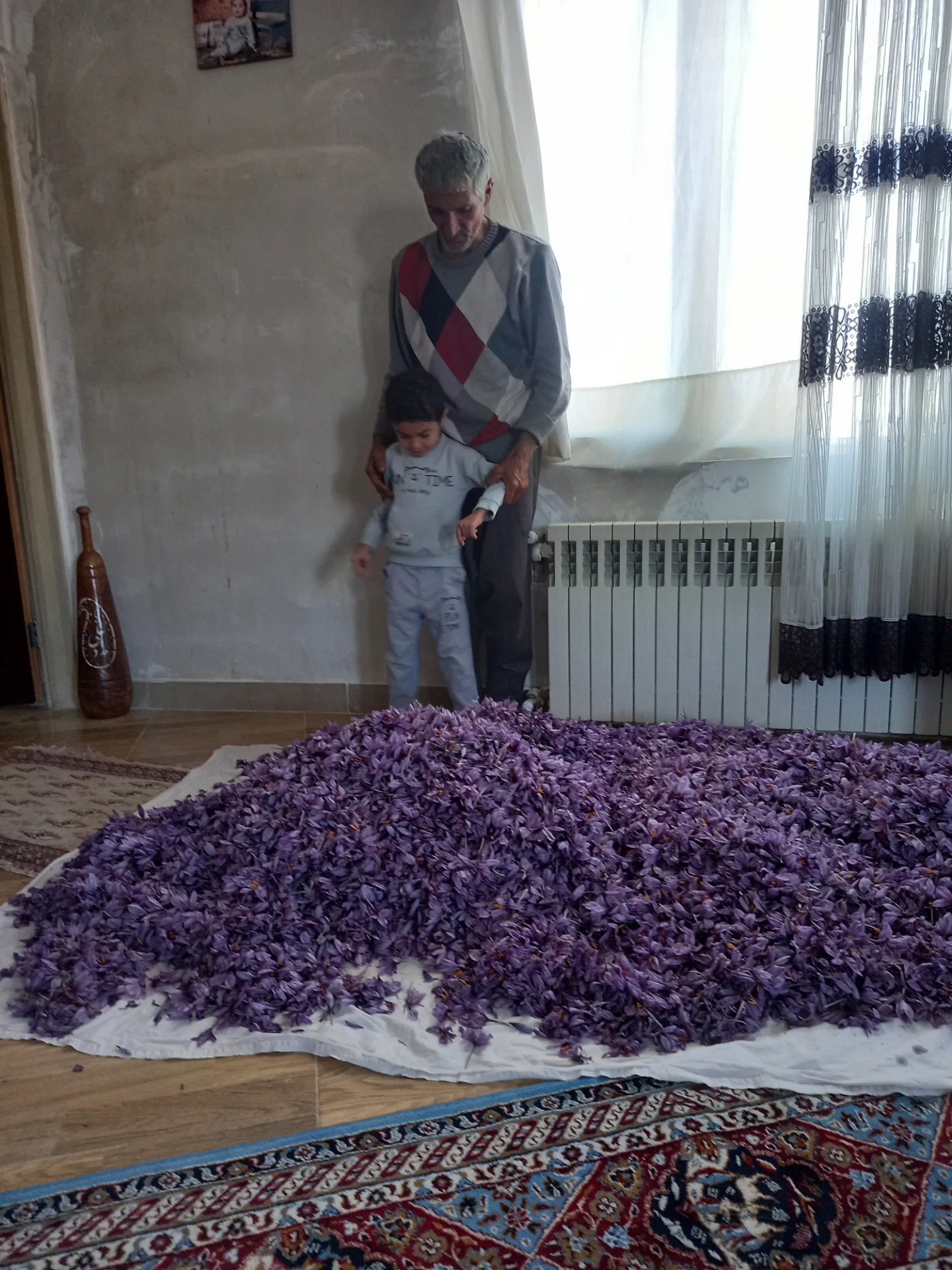 کشت و صنعت امین الملک زعفران شیروخورشید - تصویر 19