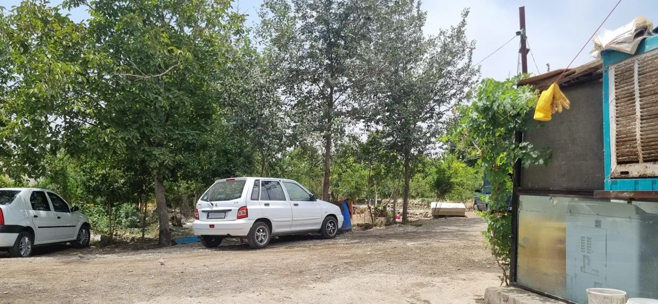 دامداری برادران امینی - تصویر 3