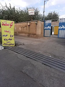 عرضه دام زنده بهداشتی شاهی