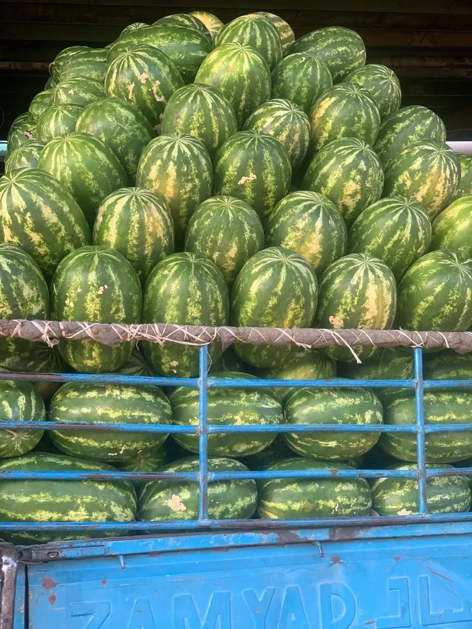 بار فروشی و حق العمل عبداله و محسن حبابی - تصویر 3