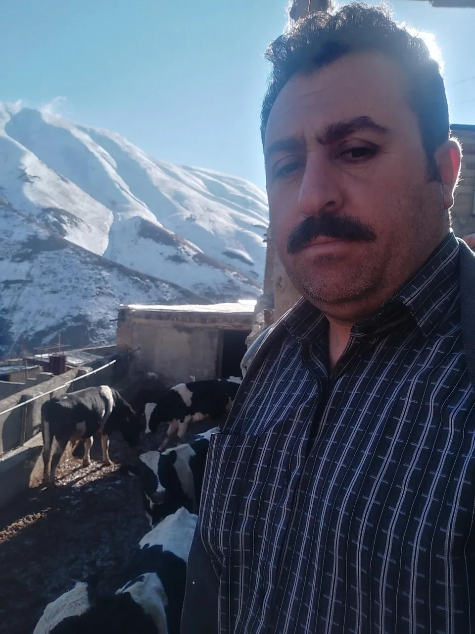 دامداری عابدینی - تصویر 2