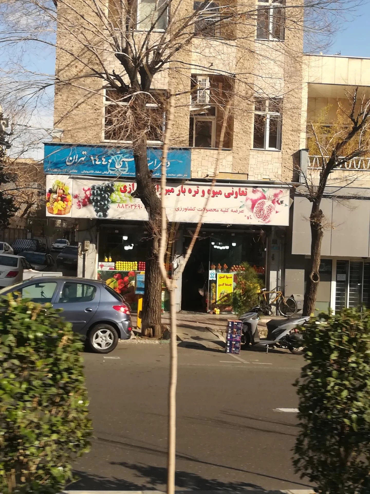 میوه گلچین