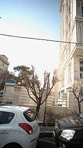 دکتر عاطفه قدوسی