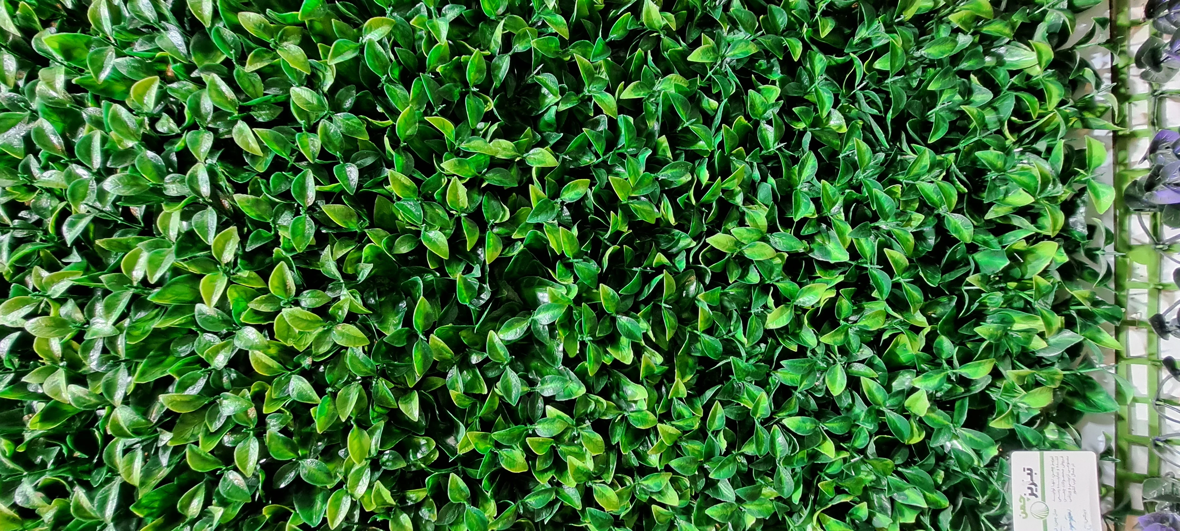 چمن مصنوعی تبریز چمن