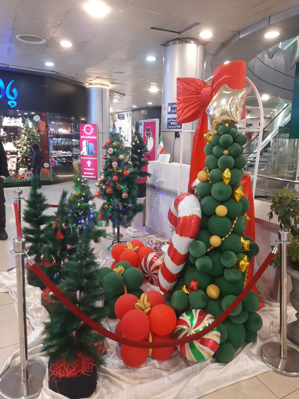 پردیس سینمایی زندگی - تصویر 2