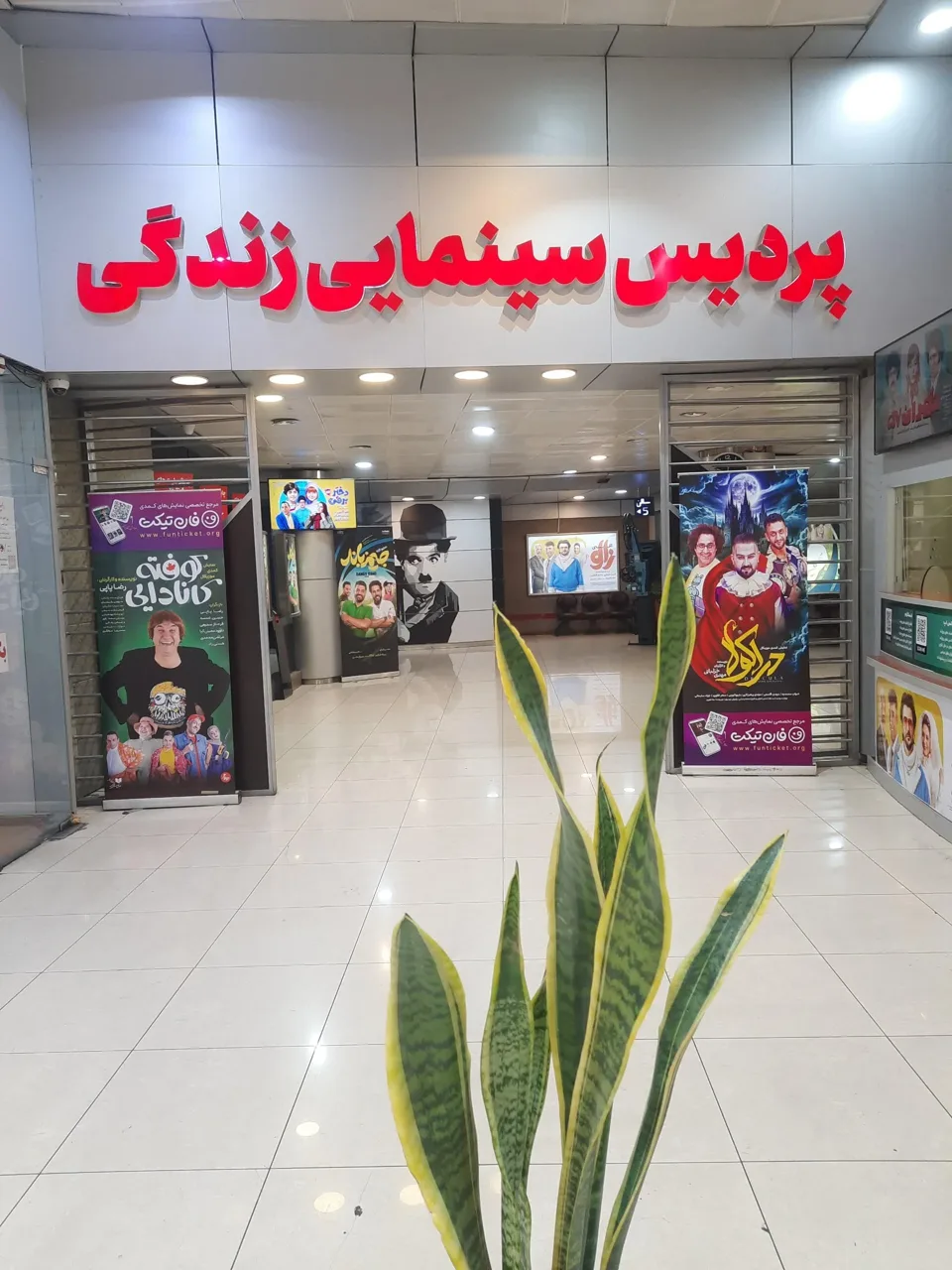 پردیس سینمایی زندگی - تصویر 4