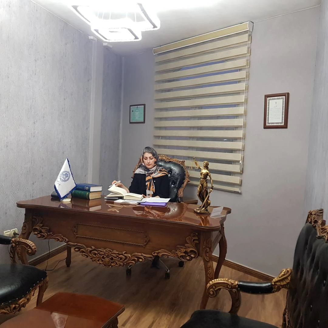 وکیل پایه یک دادگستری شقایق امیری - تصویر 2