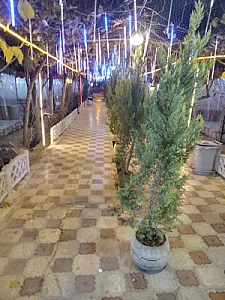 سفره خانه سنتی ترنج